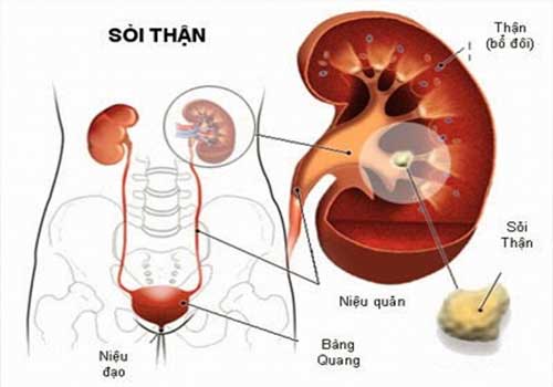 Lưu bản nháp tự động